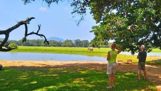 Crocodile Park Bungalow Kataragama Exteriér fotografie