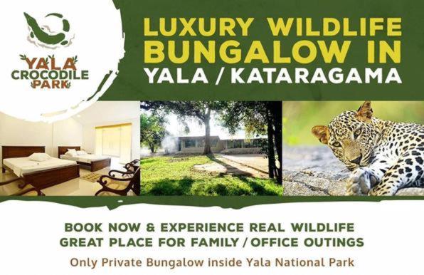 Crocodile Park Bungalow Kataragama Exteriér fotografie